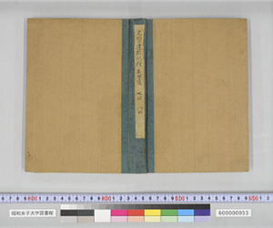 文學遺跡巡禮 英學篇 七回 八回