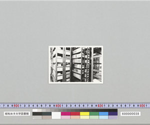 近代文庫書庫10