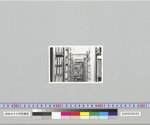 近代文庫書庫11