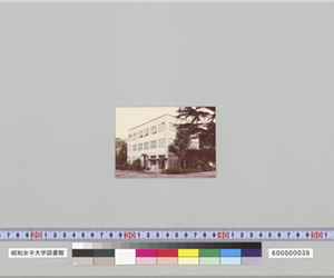 近代文庫建物　右手に樹木