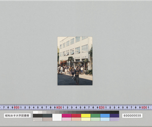 近代文庫建物から資料を運び出す学生1