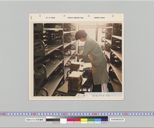 書庫にいる図書館員　昭和55年10月　1