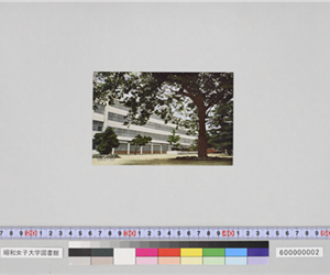 旧1号館建物（絵はがき）