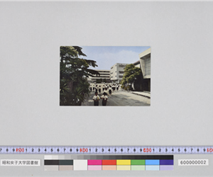 女子学生と大学建物、突き当りは旧図書館（絵はがき）