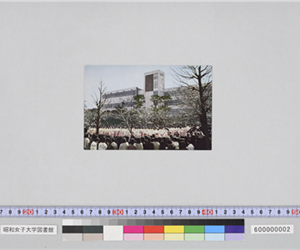 ピンク色の着物を着た学生たちと旧1号館建物。おそらく卒業式の写真（絵はがき）