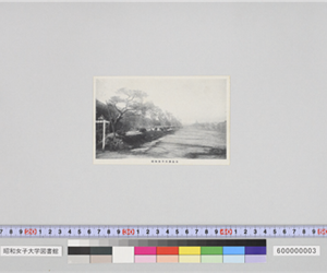 昭和女子大学全景（開学記念絵ハガキ）