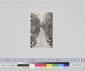 正門から玄関までの通路（創立二十周年記念絵葉書）