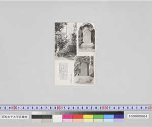 校内の歌碑、書碑、墓碑（創立二十周年記念絵葉書）