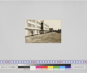 図書館をのぞみて（昭和35年11月体育祭記念）