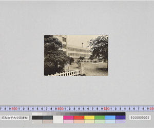 若葉に埋る（昭和35年11月体育祭記念）