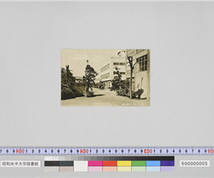 先哲の碑附近（昭和35年11月体育祭記念）