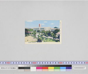 昭和女子大学（東京　世田谷）SHOWA WOMEN'S UNIVERITY