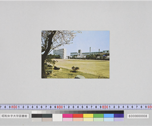 大学部研究館（左）本館（右）（昭和）