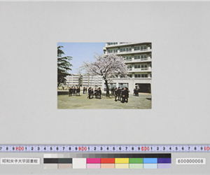 中高等部（左） 大学部研究館（右）（昭和）