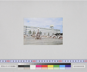 短期大学部（昭和）