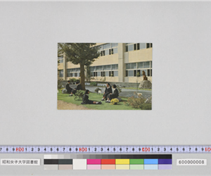 緑の木々と芝生のしとね（昭和）