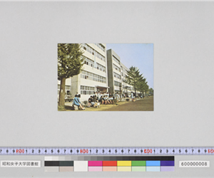 春と秋のスクール・カラー・デイには（昭和）