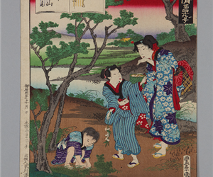 現時五十四情 第49号：宿木