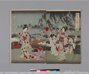 四季の詠 : [於]川の蛍