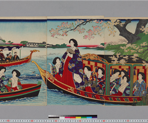 隅田之櫻高貴之遊覧