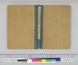 文學遺跡巡禮 英學篇 五回 六回