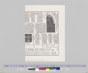 本校概要（複製版）