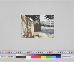 先哲の碑と本館および図書館（昭和女子大学々内風景）