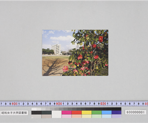 校庭の午後（昭和女子大学々内風景）