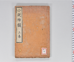 小説神髓 : 全（上）