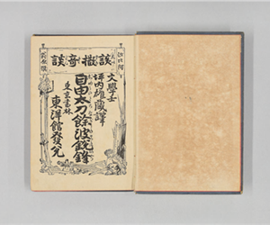 自由太刀餘波鋭鋒 : 該撒竒談