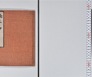 むかしむかしの桃太郎