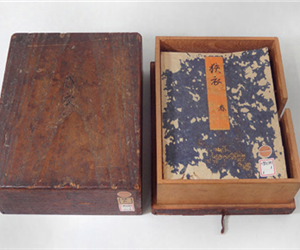 狭衣 (サゴロモ)VOL: 春