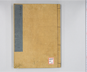 天保日記[井関隆子日記] [11]: 天保15年