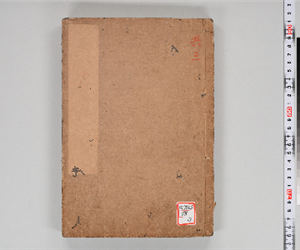 忠義水滸傳 第11-20回 VOL: 第16-20回