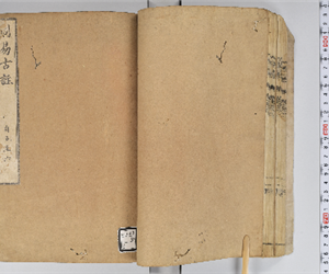 周易 9巻略例1巻 卷第5-6