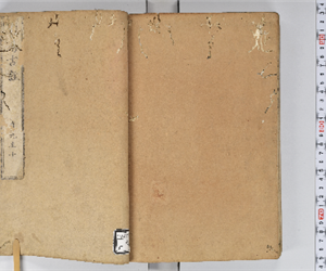 周易 9巻略例1巻 卷第9-10